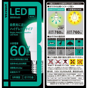 �r�b�N�A�C�f�A�@LED�d�� �mE17 / ��ʓd���` / 60W���� / �����F / 1�� / �L�z���^�C�v�n�@LDA6N-G-E17/SK60XBIT