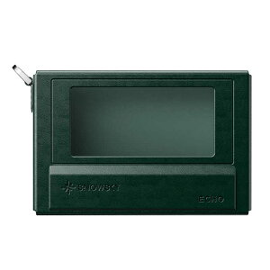 FIIO�@NEST-ECHO Green�@FIO-NEST-SSECHO-GR