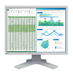 EIZO�@�t���f�B�X�v���C�@S2134-HGY