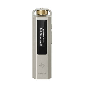 FIIO�@Snowsky ECHO NANO Titanium Gold �m�n�C���]�Ή��n�@FIO-SSENANO-G