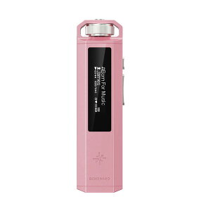�y2026�N08��07�������\��zFIIO�@Snowsky ECHO NANO Pink �m�n�C���]�Ή��n�@FIO-SSENANO-P