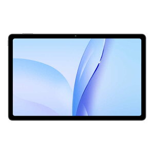 ZTE�@nubia Pad Plus(Wi-Fi)�@W206DS PRO