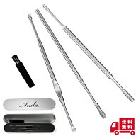 ＼楽天1位！／【公式】耳かき 極昇 快感 高級 こだわりの先端5種類3本セット ステンレス ひんやり気持ち…