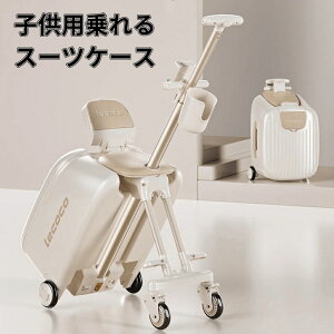 qpX[cP[X {bNX𕪗݌v LbYL[P[X gxP[X 20C`@݉\ qp̃J[gs  AȂɕ֗ y carrycs31