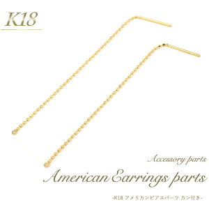  K18 AJsAXp[c t^Cv 1yA(2Zbg) ANZT[p[c ANZp[c 18 F S[hJ[ d nhCh  C AW p[c sA