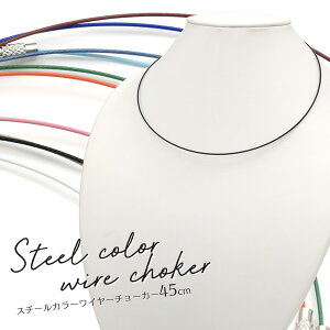 J[C[`[J[ 45cm IWi`[J[ Jt ANZp[c ANZT[p[c nhCh lW Vv i `F[p[c fB[X ubN zCg O