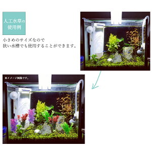 楽天市場 メール便送料無料 人工水草 1袋2個入り Sサイズ カラフル アクアリウム 水槽 魚 飼育用品 色どり テラリウム 苔リウム 土台付き カラープラント プランツ レイアウト用品 飾り草 彩り草 アクセサリー インテリア 激安輸入雑貨の店 R Mart Plus