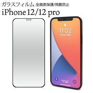  iPhone 12/iPhone 12 Pro tیKXtB Sʖh~^Cv iPhone12 iphone12pro 2020Nf tی ʕی یKX یV[ یV[g KX Uh~ ^ ɔ 