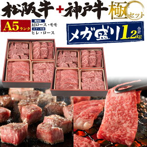 A5N ㋍ _ˋ 4_Zbg v1.2kg  Ⓚ N[ a ґ Mtg  Y 蕨 ؖt Zbg o[xL[ BBQ Ă Xe[L q tB w T[