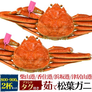 カニ 産地直送の人気商品 通販 価格比較 価格 Com