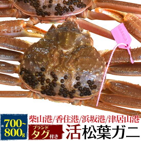 楽天市場 生き た カニの通販 楽天市場 生き た カニの通販