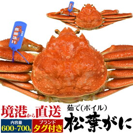 送料無料 鳥取県境港から ブランドタグ付き 茹で松葉ガニ 1杯 約600～700g ボイル済み 釜茹で ボイル済み 1尾 2尾 産地 ズワイガニ マツバガニ 松葉カニ 蟹 かに 産直 日本海 姿 未冷凍 日本 国内水揚げ 冬 高級 ご褒美 贅沢 山陰 到着後そのまま食べれる 直送2