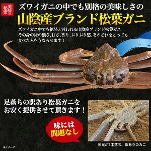 楽天市場 送料無料鳥取県境港から直送 訳あり 活松葉ガニ 1杯 約600 700g 活ガニ 生きたまま出荷 1尾 産地直送 ズワイガニ マツバガニ カニ 蟹 かに 産直 日本海 姿 未冷凍 日本 国内水揚げ 冬 高級 ご褒美 贅沢 山陰 足落ち 足取れ 刺身用 カニ鍋用 焼きガニ用