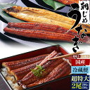 2尾セット 送料無料 朝じめうなぎ 蒲焼 白焼き 国産 超特大サイズ 200～250g 新鮮 うなぎ ウナギ ギフト 国内産 鰻 かば焼き 白焼 2尾 2匹 おばあちゃん おじいちゃん 未冷凍 お父さん お母さん 土用の丑の日 国産鰻 捌いて出荷 花以外 直送3