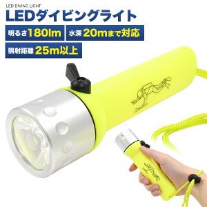 送料無料 LED ダイビング用 ハンドライト ダイビングライト ハンディライト 懐中電灯 海 川 水辺 河川敷 レジャー アウトドア 暗所 防水 防滴 防災用品 雨の日 現場作業 見回り 夜間 夜 散歩