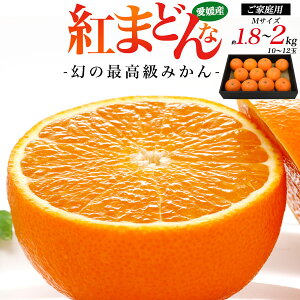 󂠂  g܂ǂ ō݂ [ ƒp ][ MTCY ][ 1.8kg`2kg ] 10`12  g}hi t[c ݂ ݂̂  ~J  QY Q  ʕ Â 