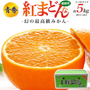  g܂ǂ ō݂ [ L`5LTCY ][ 5kg ][ G ] 15`26  g}hi t[c ݂ ݂̂  ~J  QY Q  ʕ Â  e l 