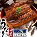 2尾 送料無料 うなぎ 蒲焼 国産 140〜150g うなぎの蒲焼き ウナギ ギフト 2尾 2匹 国内産 鰻 かば焼き おばあちゃん おじいちゃん お父さん お母さん 土用の丑の日 国産鰻 夏ギフト プレゼント 贈り物 冷凍 お取り寄せグルメ たれ付き 直送w