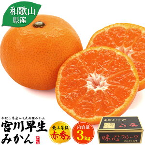 [ \11{` ]  a̎R {쑁݂ 3kg ŏ㓙 ԏGi Gi ~J  a̎RY ʕ Mtg v[g 蕨 l j Ԃ j  p Yn Y 