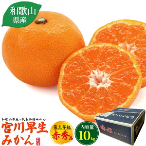 [ \11{` ]  a̎R {쑁݂ 10kg ŏ㓙 ԏGi Gi ~J  a̎RY ʕ Mtg v[g 蕨 l j Ԃ j  p Yn Y 