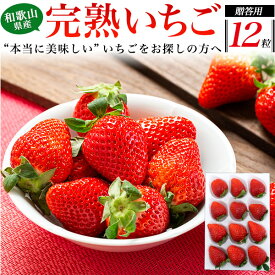 完熟 送料無料 高級いちご まりひめ 1パック12粒入り 和歌山県産 完熟いちご 秀品以上 贈答用 果物 いちご 苺 ギフト 箱入り セット 甘い 美味しい 贈答用 プレゼント 贈り物 熨斗可能 のし お祝い お返し 内祝 お礼 お取り寄せギフト お取り寄せグルメ 直送3
