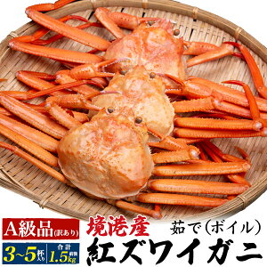 3〜5杯 送料無料 訳あり 茹で 紅ズワイガニ 合計1.5kg前後 A級品 産地 カニ 蟹 かに ボイル 茹で 姿 日本 国内水揚げ 蟹みそ カニミソ 汁物 お鍋 雑炊 パスタ 鳥取県 鳥取境港から 産直 未冷凍 ご