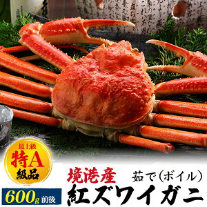 送料無料 特A級品 茹で 紅ズワイガニ 1杯 600g ベニズワイガニ 最上等級 境港 カニ 蟹 かに ボイル 茹で 姿 日本 鳥取県 鳥取 産直 未冷凍 そのまま食べれる 冬 ご馳走 お祝 パーティー おうちご