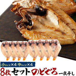  ̂ǂ늱 8Zbg TCY×4 TCY×4  蕨 j a yY v[g Mtg TCYHה ̂ l p Ⓚ Mtg AJc mhO