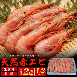  VRԃGr 2kg [ Ⓚ ] L2TCY H CV  AJGr ԊCV kt  C̍K hg CN H Hi A[`Y Dŋ}Ⓚ VN GrtC VՂ ѓV A