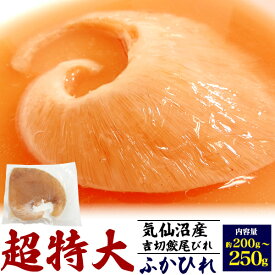 送料無料 超特大 ふかひれ 尾びれ 気仙沼産吉切鮫ふかひれ尾びれ [ 約200~250g前後 ] フカヒレ 調理前 材料 食材 贅沢 中華ご馳走 スープ 姿煮 冷凍 大きい 高級食材 パーティー イベント 来客 おうちごはん お取り寄せグルメ