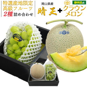  G߂̉ʕ MtgZbg [ RY VC}XJbg  ][ ÉY NE ] t[c t[cMtg    ʕ p v[g 蕨 