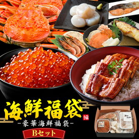 福袋 2026 送料無料 海鮮福袋 [Bセット] 詰め合わせ セット 福袋 魚介類 食品 蟹 カニ かに いくら イクラ ホタテ 帆立 うなぎ ウナギ 鰻 豪華 ごはん おうちごはん 消費 消耗品 食材 おかず ごはんのお供 おすすめ 贅沢 プチ贅沢