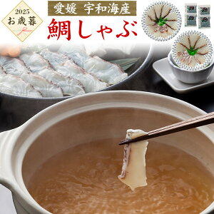  ~Mtg Ε 2025 Q FaCY ₵  Ԃ v[g 蕨 G߂̂A ̂ p Ⓚ   H  ͂ XCX  ^C j 