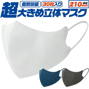  sDz}XN ̃}XN 傫 [ 210mm ][  ] Y j u[ zCg O[ J[}XN  ĝă}XN lp ԕ  zR q}XN ECX 