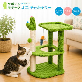 送料無料 組み立て式 ミニキャットタワー サボテンモチーフ 猫 ねこ ネコ コンパクト ミニ 小さい かわいい ゆるかわ 猫タワー ネコタワー 爪とぎ 爪磨き 麻縄 一人遊び 子猫 据え置き型 緑 グリーン ボール 鈴 ねずみ おもちゃ 運動不足解消 ストレス解消 遊び場