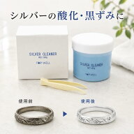 送料無料 シルバークリーナー 100g ピンセット付き アクセサリー 銀製品 液体 シルバー磨き ケア用品 メ…
