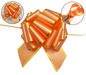 送料無料 在庫処分 ラッピング用 ライン入りワンタッチリボン 大サイズ プレゼント ラッピング 店舗用品 イベント装飾 ギフト 梱包 包装 贈り物 フラワーリボン 無くなり次第終了 在庫処分 廃番予定商品 ywx039 メール便 直送w