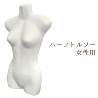 送料無料 アウトレット 婦人用前面ハーフトルソー ネックレス アクセサリー 衣服 展示 撮影 半面のみ 壁…