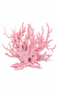  lHX lHTS  ANAE  tFCN tFCNO[  IuWF ANAEpi  I[ig CeA ANZT[ u fR[V 