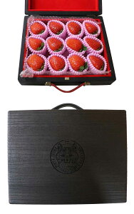  ˔  ܂Ђ 12 a̎RY ō p Mtg LO j ʂȓ ʕ    R{ Ƌ̂Â Y Zbg lߍ킹 Â 