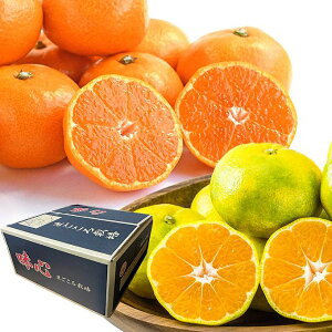 [ \11{` ] \  a̎R ݂ i킨C _ 3kg 10kg ŏ㓙 ԏGi Gi ~J  a̎RY a̎R  ʕ Mtg v[g 蕨 j Ԃ j 