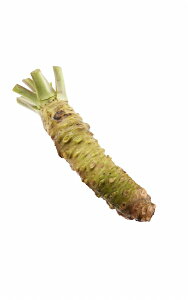 �������� �{�킳�� [��150�`180g] ����T�C�Y �É����Y �{���T�r wasabi �� ������ �X�p�C�X ���Y ���{�Y 1�{ 2�{ 3�{ �����񂹃O���� �H�� ������� ���������͂� �A�����W �����i �a�H ���{�H