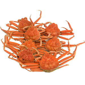 v500g 1kg [ 󂠂 ]  Ⓚ ZRKj 4`5t YCKj }coKj Jj I  {C 䥂 䥂 RA ĎR ËR Z ɎY Y {C p { g 