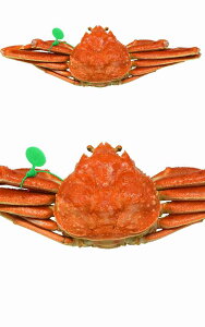  s{Y ԐlKj Kj 1t 500g {Cς 䥂 1 Yn YCKj Jj I  Ynؖ^O uh^O ̃Jj  Y p Ⓚ { g ~  J