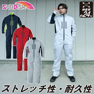 TfBXN SUNDISK ciM SD4200 LSS`3L reBJbg Xgb` Lk24% O ѓdh~ ʔN  Ȃ ƕ ƒ jp jZbNX ̊ۑ@