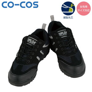 vXj[J[ HZ-308 SC Sc JSAA AFi yƁExƁEyƌȂ\ȈSm /H/@BH//q/z