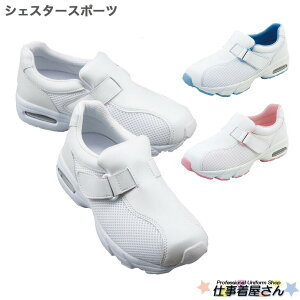 ₷ǋX|[c^Cv Ȃ₩ȑ^тT|[gĔyBVFX^?X|[c/3E/JbvC\[/ʋCbV/Ռz/GA[NbV/jpy{w