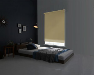 ロールスクリーン ロールカーテン ロールアップ ブラインド のれん 目隠し 間仕切り カーテン スクリーン すだれ 遮光 調光 北欧 洗面所 脱衣所 玄関