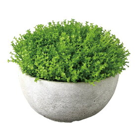 楽天市場 観葉植物 フェイクグリーン 安いの通販 楽天市場 観葉植物 フェイクグリーン 安いの通販