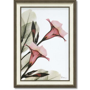 CeA Ǌ| ǊG A[gpl A[g{[h G A[g G EH[fR[V Ǐ fBXvC A[g|X^[